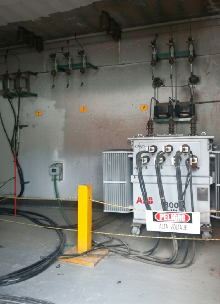 Deshidratador de Alimentos